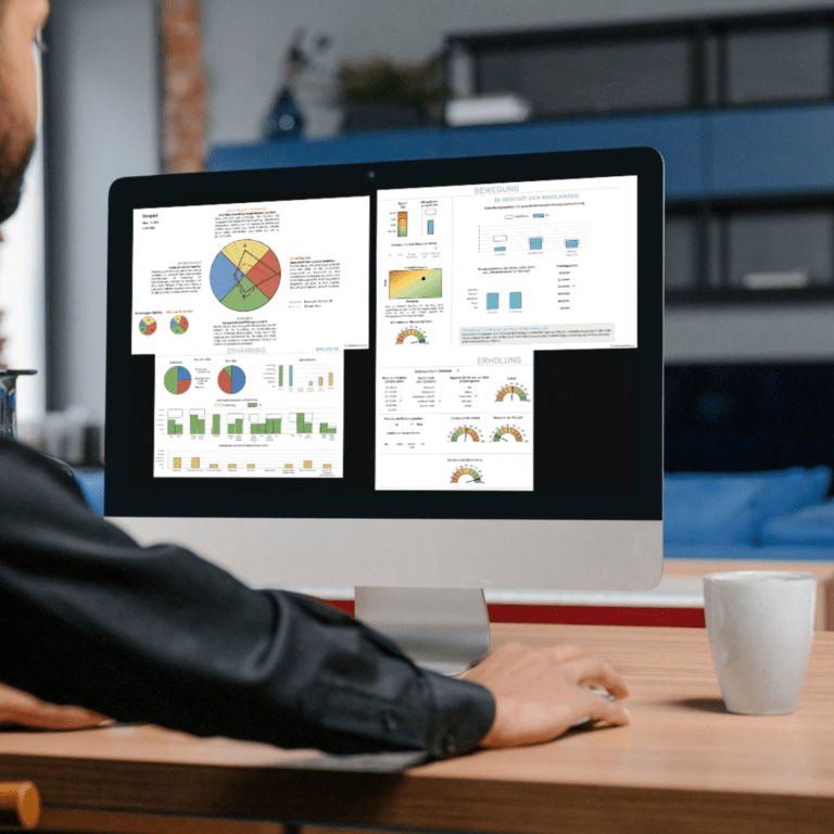 Wellbeing Navigator Analyse